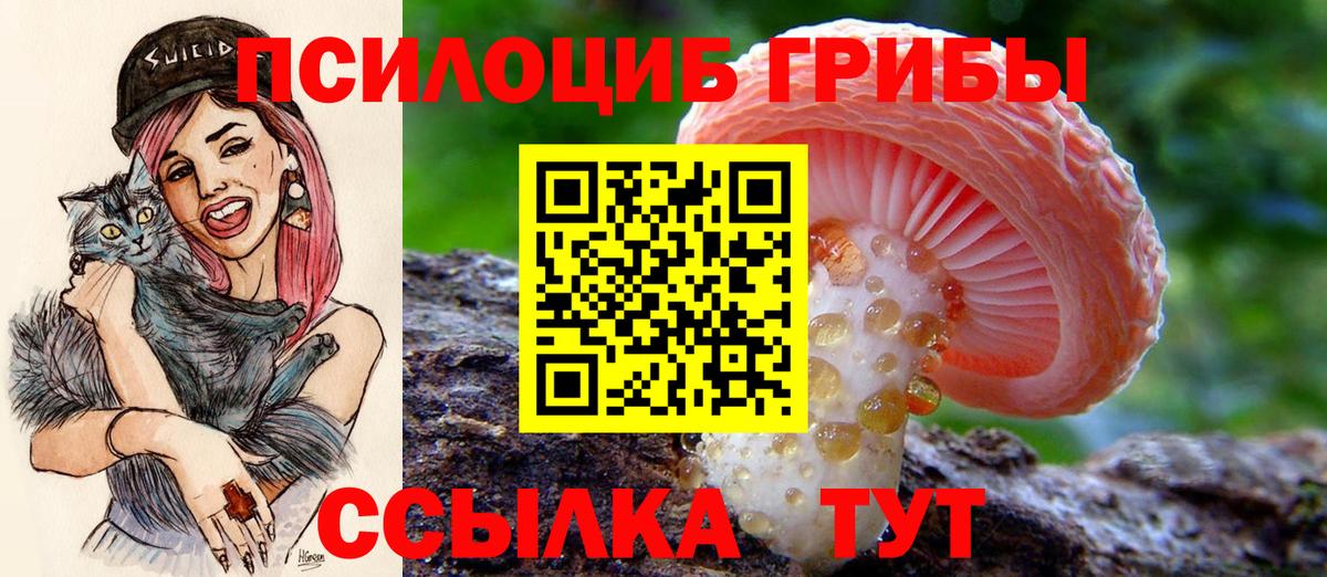 Лыткарино  магазин продажи   Псилоцибиновые грибы мицелий  Вход с VPN  Псилоцибиновые грибы мухоморы 