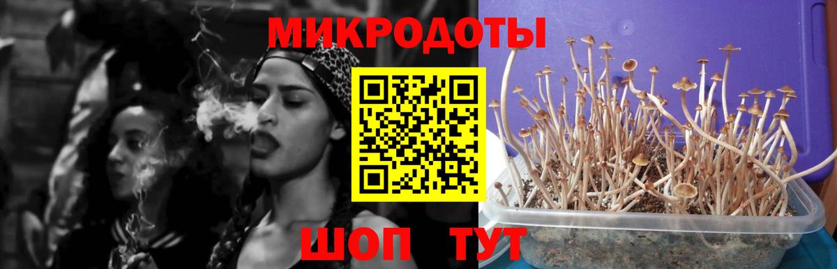 Галлюциногенные грибы прущие грибы Лыткарино